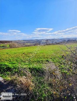 Kocaeli Derince Kargöllü De 1.250 M2 Müstakil Tapu Yolu Açılmış