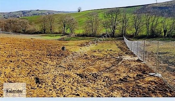 Kocaeli Körfez Himmetli De Diğer Tarım Alanı 3.250 M2 Manzaralı