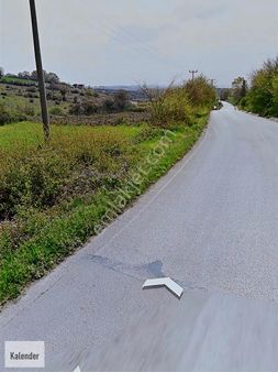 Kocaeli Kandıra Çalköy De Ana Asfalt Kenaro 3.250m2 Tarla