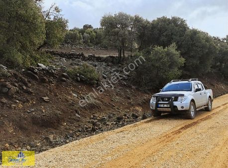 Kilis Merkez Kuskunkıran Mahellesinde Fırsat Bag Evi Konumunda
