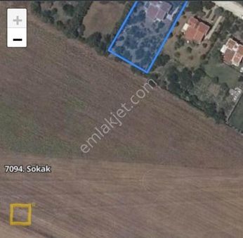 Doğayla İç İçe...