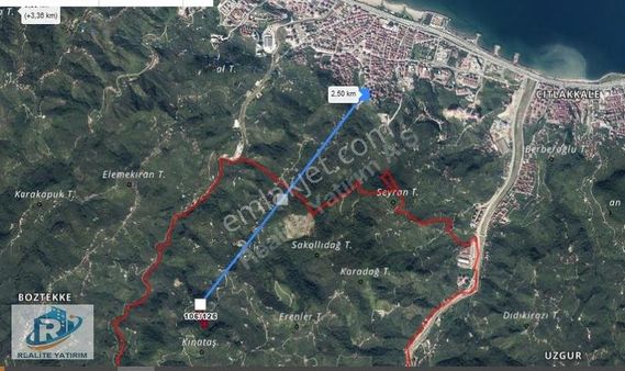 Giresun Merkez Alınca Köyü'nde 10 Dönüm Satılık Ev Fındık Bahçe