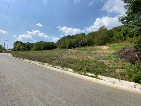 Hendek Kalayık Mahallesinde Manzaralı İmarlı 1.115 M2 Arsa