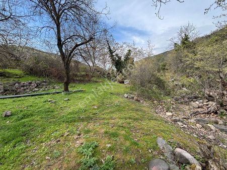 Bergama Öksüzler Mahallesi Dere Kenarı Satılık Bahçe