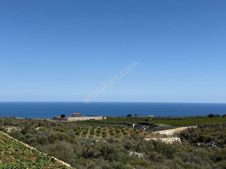 Erdemli Batısandal Full Deniz Manzaralı 568 M2 Satılık Arsa Önü Kapanmaz Manzaralı