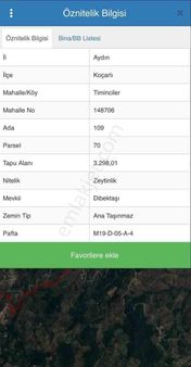 Koçarlı'da Yatırımlık Fırsat Zeytınlık