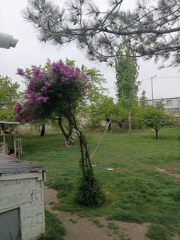 Dolu Emlak'tan 6.500'e Satılık Ticari Arsa