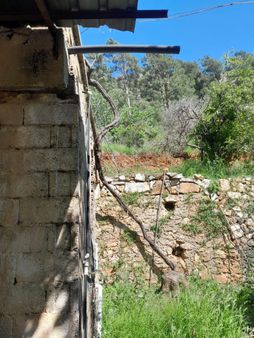 Aras G.menkulden Finike Çavdır Boğaz Mah. 3400m2 Satılık