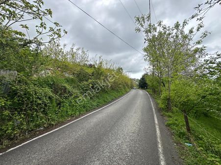 Küçükler Gayrimenkul'den Satılık Fındık Bahçesi