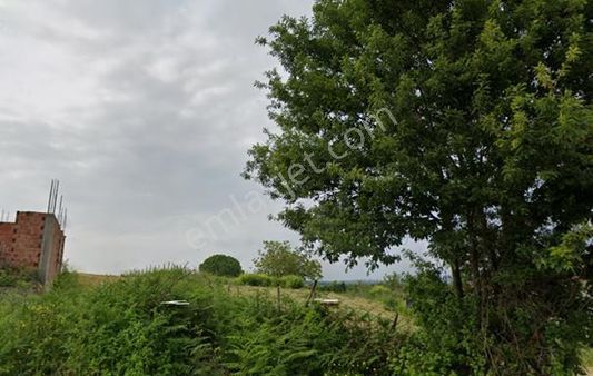 Kefken Ballar Köy İçinde Müstakil Arsa