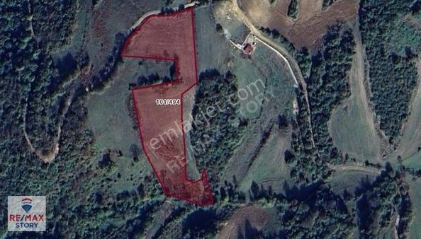 Körfez Alihocalar'da Satılık Müstakil Kadastro Yolu 7191m2 Tarla