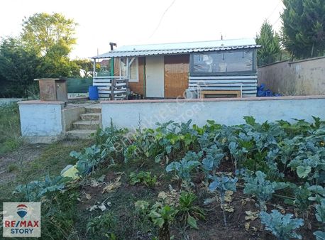 Gebze Mollafenari Satılık Hisseli Tarla