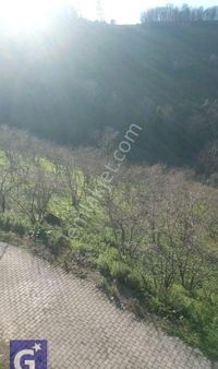 Öner Güneri Den Cemaller De Satılık 2100 M2 Yola Sıfır Tarla