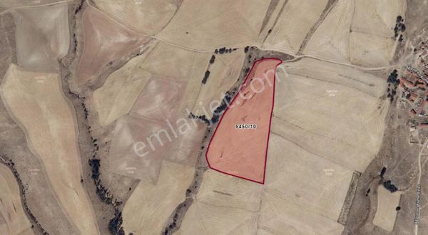 Sivrihisar Paşakadın Da 29.961 M2 Yatırımlık Tarla