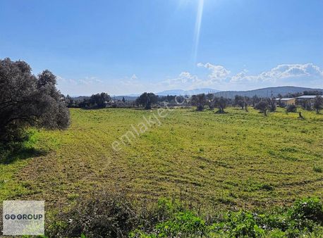 Urla Kadıovacık Kaçırılmayacak Fırsat Tarla