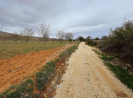 Suboğaz Mh Kadastro Yolu Üstü Tek Tapu Yatırımlık Arazi
