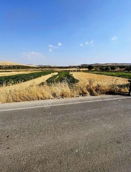 Suboğaz Asfalt Üzeri Satılık Arazi.