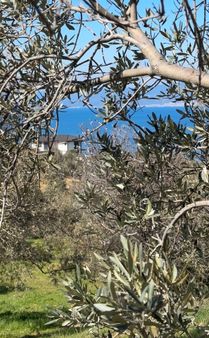 İmarı Çok Yakın ,4 Adet Villa Yapılır Full Deniz Manzaralı