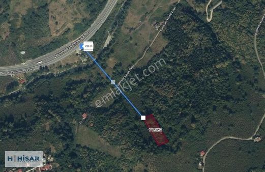 Hisar'dan Maçka Esiroğlu'nda Satılık Tarla