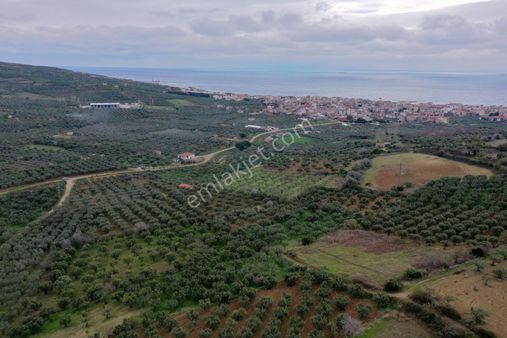 Bulut Yatırımdan 872 M² Merkezi Konumda Ulaşımı Kolay Zeytinlik
