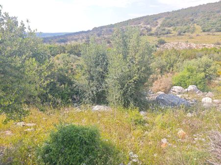 Didim'de Satılık Yatırımlık Arsa