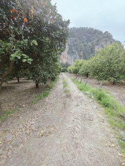 Ortaca Okçular Satılık Hisseli Tarla