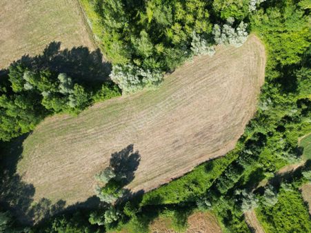 Sinop,yeniçam'da 10 Dönüm Satılık Tarla