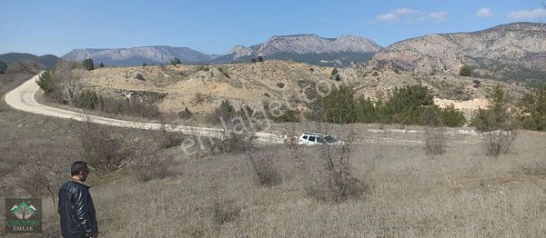 Asfalt Kenarı 1377 M2 Bahçe