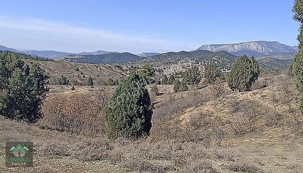 997 M2 Yatırımlık Bahçe