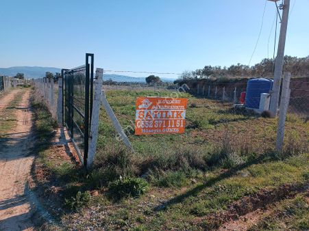 Menderes Bulgurcada Satılık Kupon Tarla