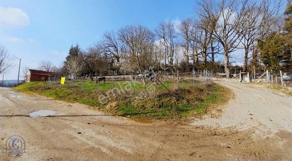 Köy İçi 504m2 Değerli Müstakil Parsel (yol,su,elektrik Mevcut)