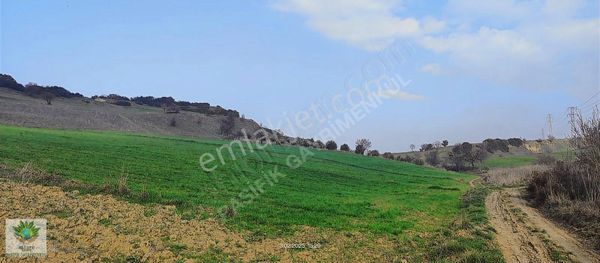 Pasifik' Ten Turgutlu Irlamaz Da 345 M² Konut İmarlı Arsa