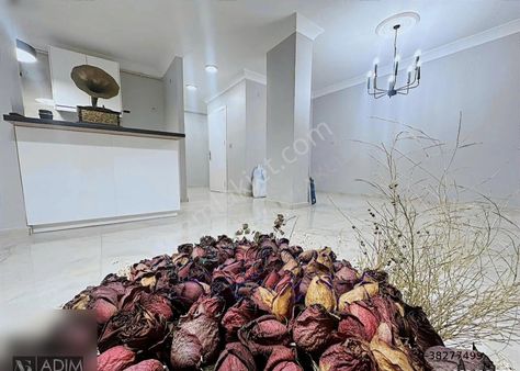 Lüks Ve Özel Dizayn,3+2 Dubleks,asansörlü(çift Giriş-banyo)boş