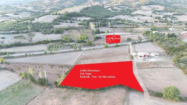 Vadi Emlak'tan Yazıbaşı Köyü'nde Tek Tapu Satılık Tarla