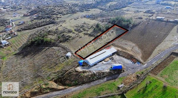 Geyve Kozan Mahallesinde 1.044 M2 Satılık Tarla