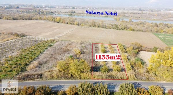 Geyve Kozan Mahallesinde 1555m2 Satılık Tarla
