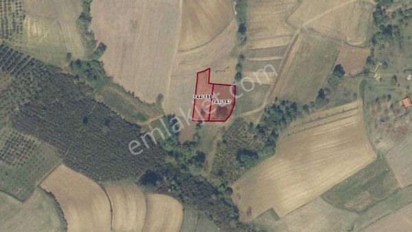 Uygun Fiyatlı Yatırımlık Arazi