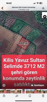 Özgüroğlu Emlak,tan Satılık Zeytinlik
