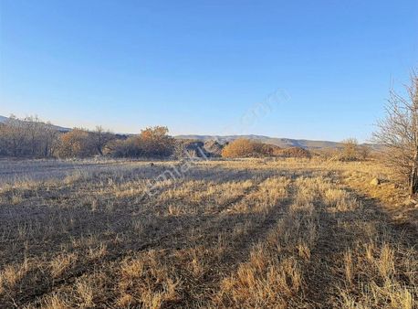 1700 M Yolu Mevcut Tek Tapu Doğa İçinde Uygun Parsel