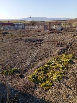 Arkadaş Emlaktan Tolamehmette Satılık 1 Dönüm Bağ