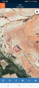 Maşuk Ta Mükemmel Fıstık Bahçesi