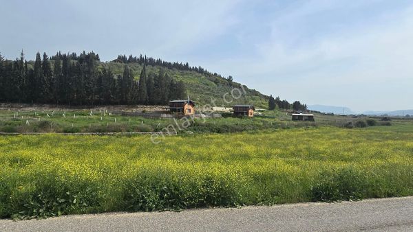 Gölcükler Otobüs Güzergahında Satılık 1.001 M2 Tapulu Fırsat Bahçe