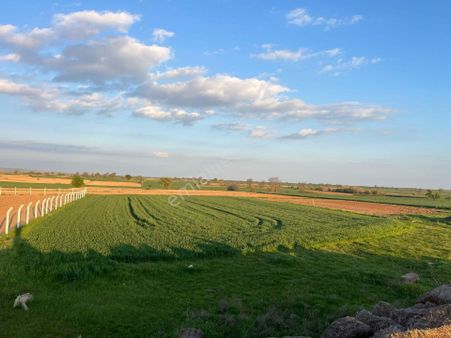 Kırklareli Karıncak Köyünde Satılık Bahçe