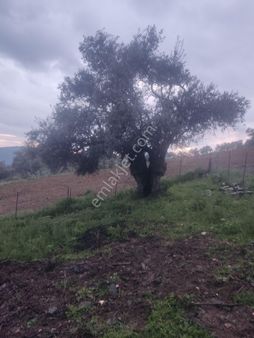 Doğa Gayrimenkul'den İzmir'de Kaçırılmayacak Yatırım Fırsatı