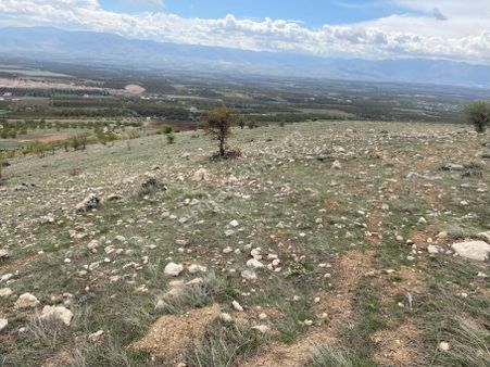 Akçadağ İkincilerde Satılık 9 Dönüm