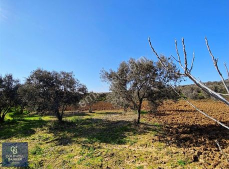 Tire Ayaklıkırı Satılık Arsa