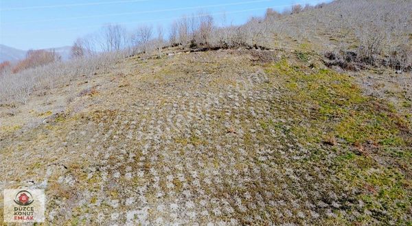 Düzce Konut Emlak | Çilimli Hızardere | Satılık 4.830 M2 Arsa