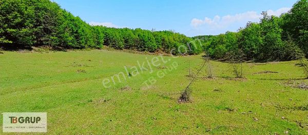 Tb Grup'tan Çiftlikköy İlyasköy'de Satılık 6.5 Dönüm Arazi