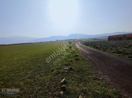 Ege Emlak Tan Güzelhisar Elbirdi Mevkiinde Satılık Tarla