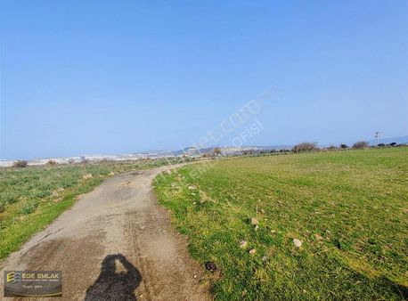 Ege Emlak Tan Güzelhisarda Satılık Tek Tapu Tarla